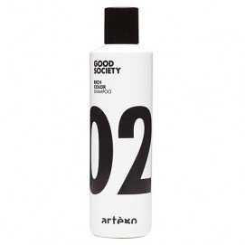 Artego Good Society 02 Rich Color Shampoo / Шампунь для окрашенных волос - 250 мл