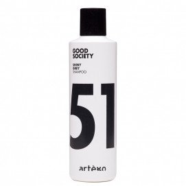 Artego Good Society 51 Shiny Grey Shampoo / Шампунь против желтизны - 250 мл